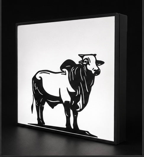 Custom LightBox 150mm(W) x 135mm(H) x 35mm(D)