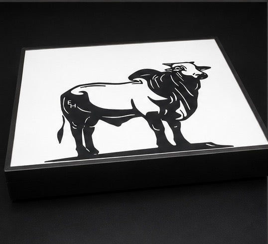 Custom LightBox 150mm(W) x 135mm(H) x 35mm(D)