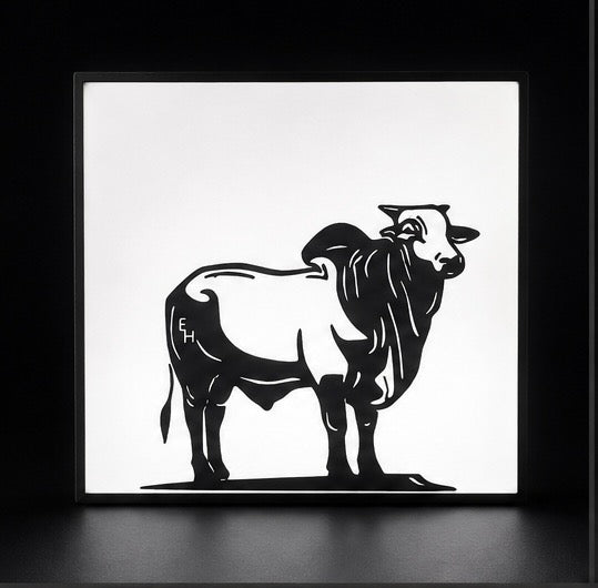 Custom LightBox 150mm(W) x 135mm(H) x 35mm(D)